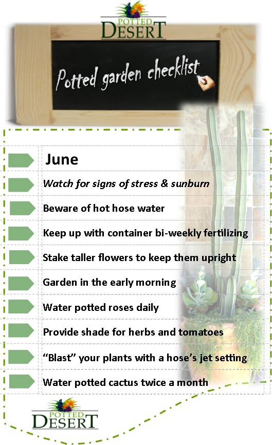 Tips for June in your Hot Garden Pots