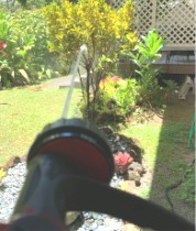 Jet spray on hose blasting plants