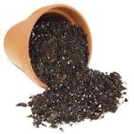 Good potting soil is rich with an earthy odor